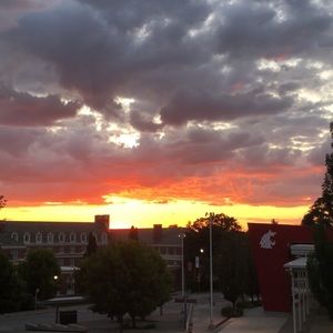 Meet your Posher, Preston